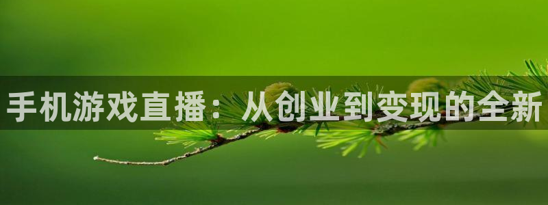 多彩娱乐登陆地址：手机游戏直播：从创业到变现的全新