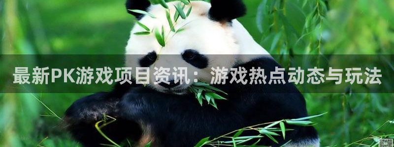 多彩娱乐网页版地址：最新PK游戏项目资讯：游戏热点动态与玩法