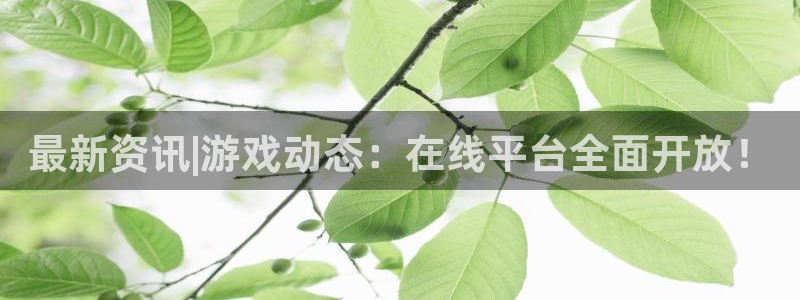 多彩娱乐注册登录：最新资讯|游戏动态：在线平台全面开放！