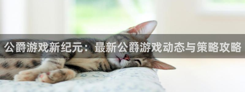 多彩娱乐手机网页版登录：公爵游戏新纪元：最新公爵游戏动态与策