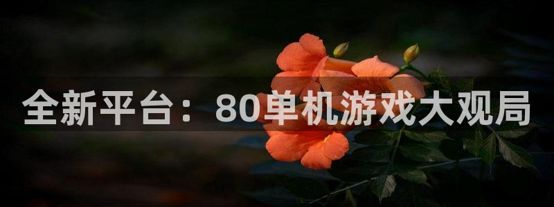 多彩娱乐下载链接：全新平台：80单机游戏大观局