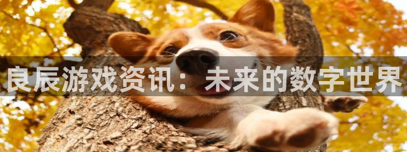 多彩娱乐直属：良辰游戏资讯：未来的数字世界