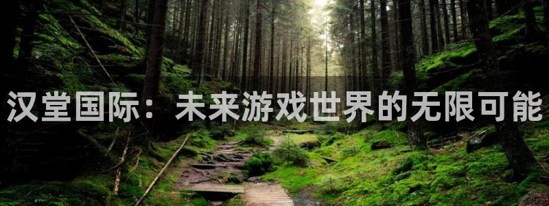 多彩娱乐注册登录：汉堂国际：未来游戏世界的无限可能